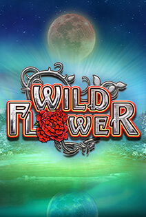 Wild Flower